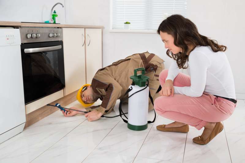 Post-Construction Termite Treatment